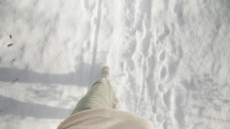 first-person view walking in fresh snow, winter day