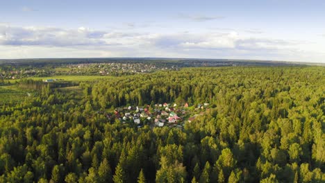 flight above sunlit broadleaf woodland and small village in a forest glade