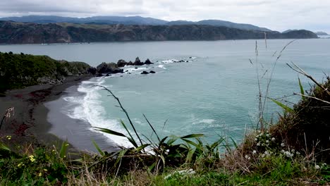 lapso de tiempo de la escarpada costa oceánica de la entrada del puerto de wellington, pencarrow y bahías, mares escénicos y salvajes, en la capital wellington, nueva zelanda