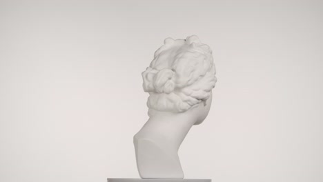 white plaster bust of a classical female figure