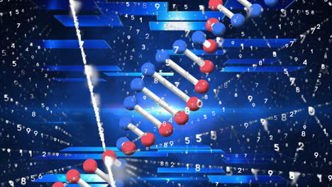 animation of dna strand and numbers with network of connections