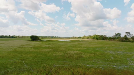 Üppige-Arauca-Landschaft-Mit-Einem-Ruhigen-Teich-Unter-Blauem-Himmel,-Kolumbien,-Schnellflug