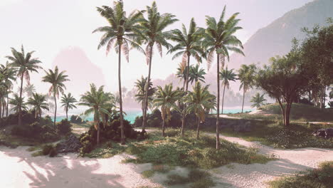 el paraíso de las playas tropicales