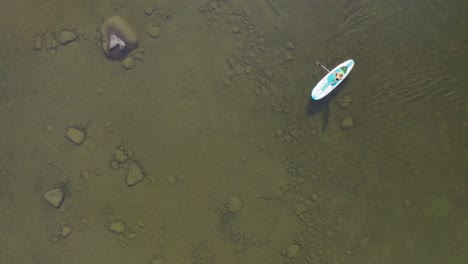 imágenes de drones de una mujer en una tabla de apoyo en un lago durante el verano