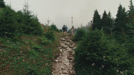 Pov-Auf-Einem-Bergpfad-Erschossen-Nadelbäume-Werfen
