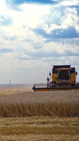 yellow combine harvester in the field. agricultural machine gathering ripe wheat in summer. food industry concept. vertical video