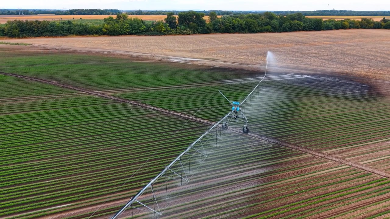 Structure d'irrigation à pivot central dans un champ agricole. Un jet d'eau s'étend sur des plantes vertes luxuriantes à côté d'une zone sèche récoltée.