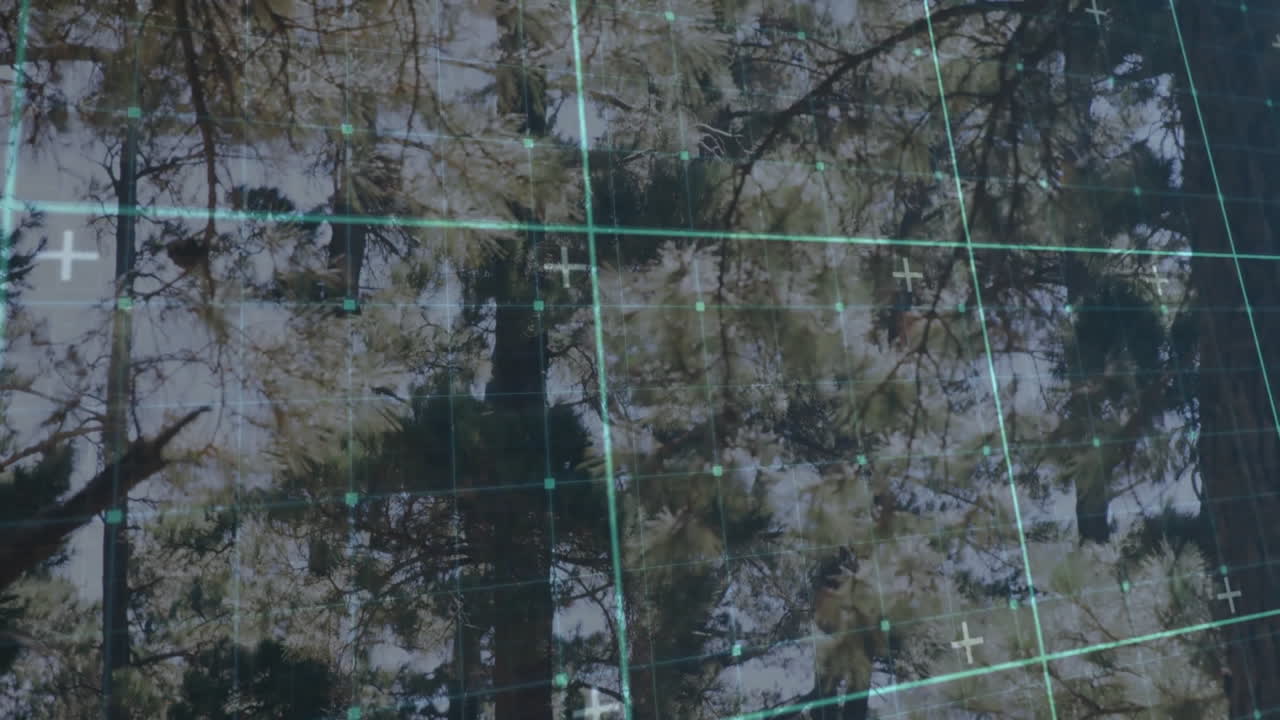 Digital grid overlay on tree branches creating futuristic nature animation concept