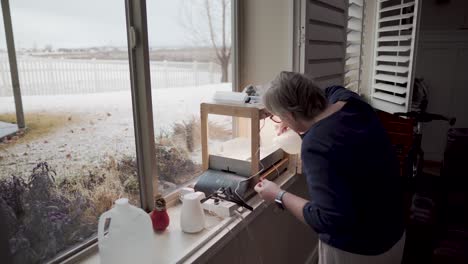 mature woman adds water to her indoor hydroponics garden - snowy day outside her basement window