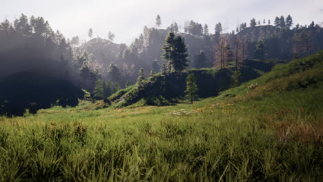 swiss alps with green alpine meadow on a hillside and surrounded by pine forests