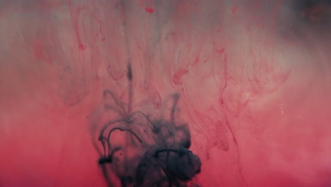 dark green paint drops in water shot in slow motion on sony a7iii.