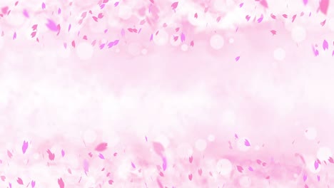 coloridos pétalos brillantes balanceándose en el fondo de la primavera con llamaradas solares. hermosa escena de la naturaleza. ilustración pétalos de cereza en flor. gráfico abstracto de primavera. animación de bucle.