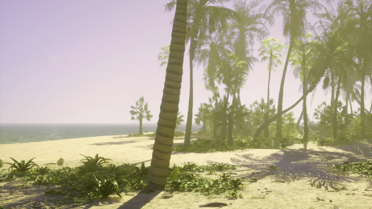 Peaceful tropical beach with palm trees under clear blue skies in daylight