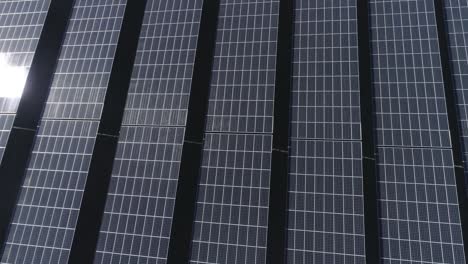 Close-drone-shot-above-a-field-of-solar-panels