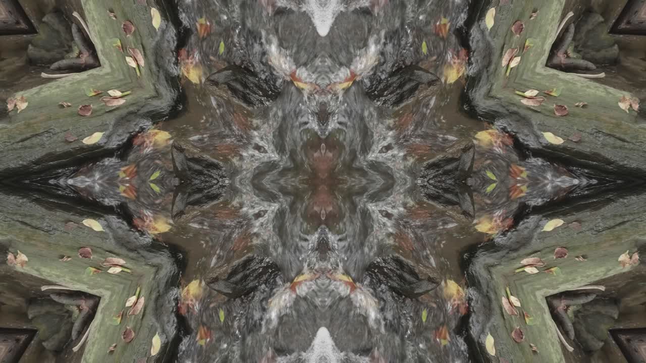 Kaleidoscope from Nature Shots, Wissahickon Creek