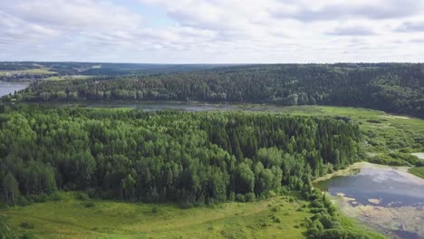 aerial view of a forest landscape with river and lake