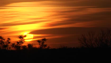 tiro longo do deserto do novo méxico em goldenhour 1