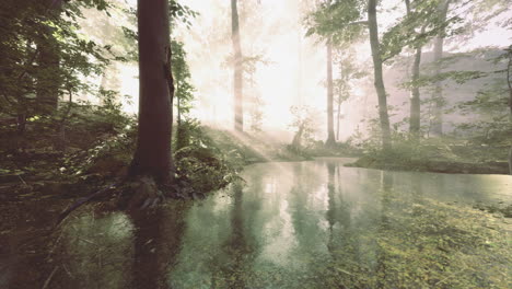 serene forest landscape reflecting sunlight on tranquil waters at dawn