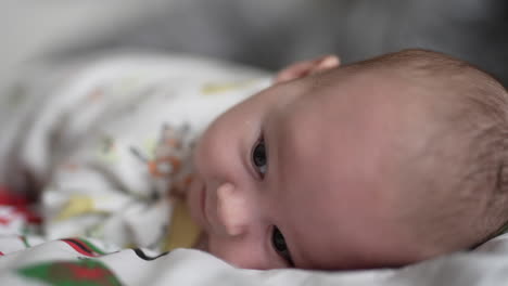 caucasian newborn boy lying on his belly and rising head. smiley adorable child looking at camera with interest. close up.