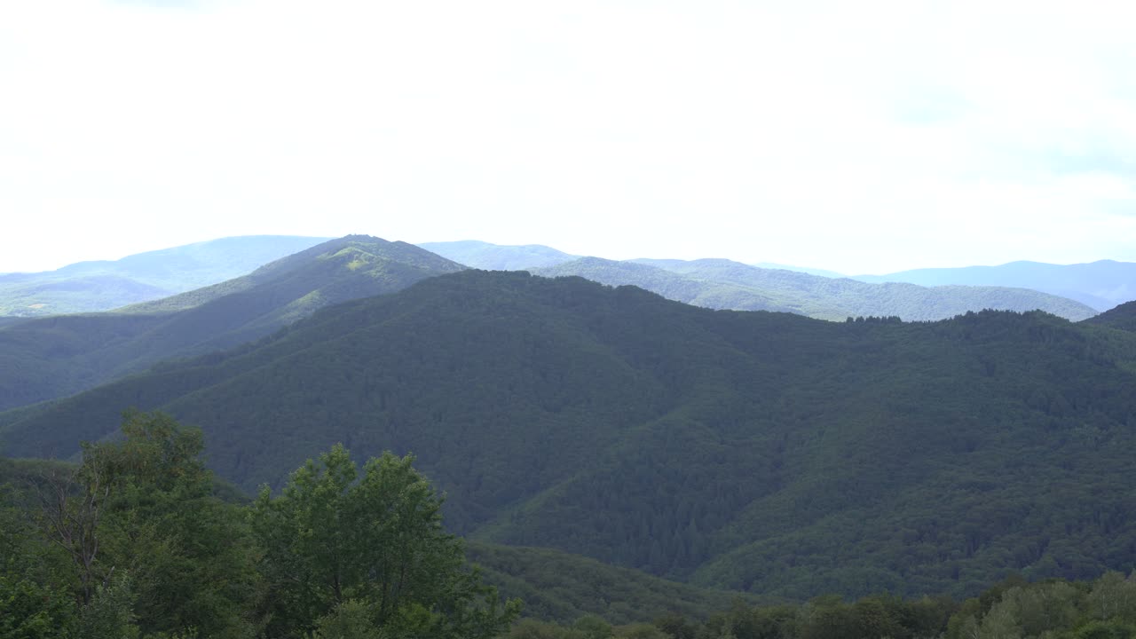 산맥 에 있는 초록색 나무 숲. 언덕 과 초원 에 있는 아침 안개. 자연 배경. 여행 목적지. 아름다운 야생 풍경. 여름 휴가 관광