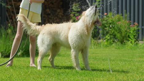 child playing with a dog in the garden