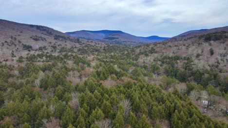 drone footage of remote wilderness with a valley, pine forests, bare canopy, distant mountains and snow cover on the forest floor on a cloud, winter's day