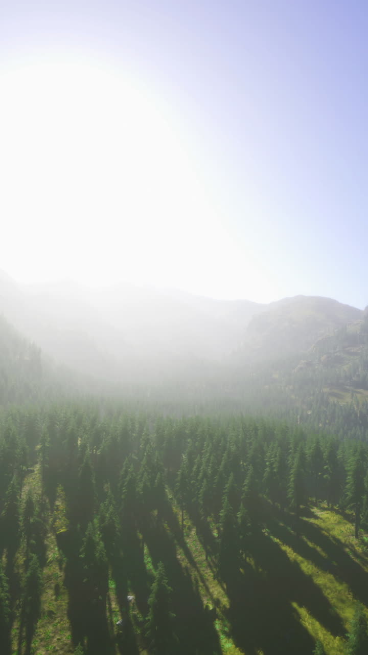 Majestic mountains bask in golden sunlight above lush green forests