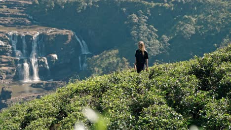 woman walking through the scenic saint clair’s tea plantations with waterfall in the background in nuwara eliya, sri lanka