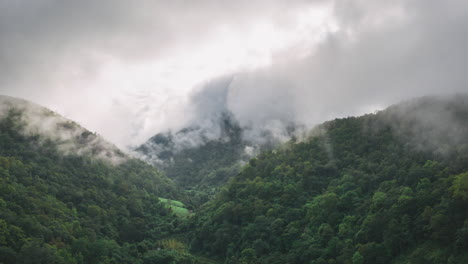 hiperlapso aéreo del bosque nuboso