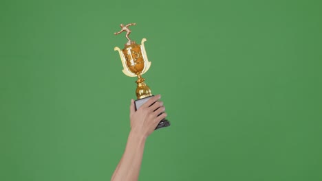 hand holding a golden trophy against a green background