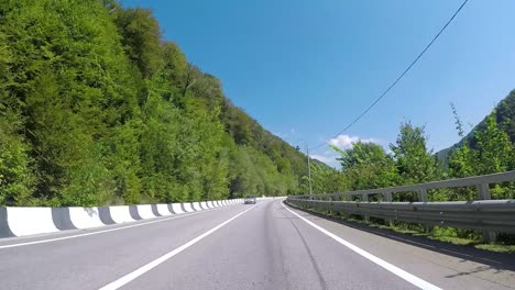 mountain road through forest