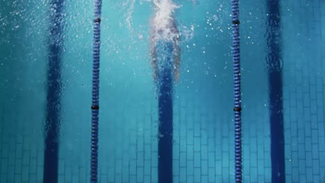 swimmer training in a swimming pool