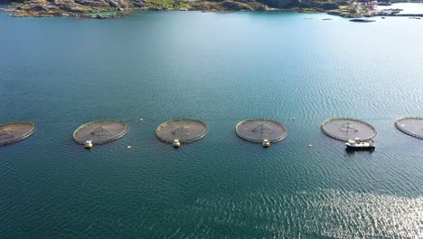 aerial footage farm salmon fishing in norway