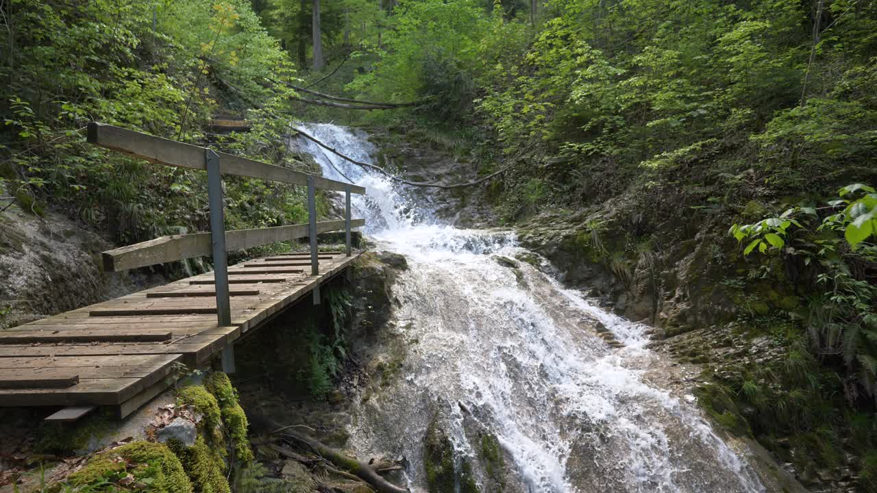 Ripresa al rallentatore di una cascata idilliaca che scorre tra gli alberi di montagna, illuminata dal sole.
