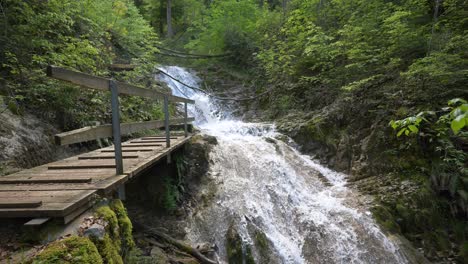 slow-motion shot of idyllic waterfall floating between mountain trees in sun