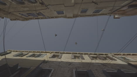 venice alleyway with birds in flight