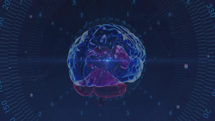 Animation of data processing over brain
