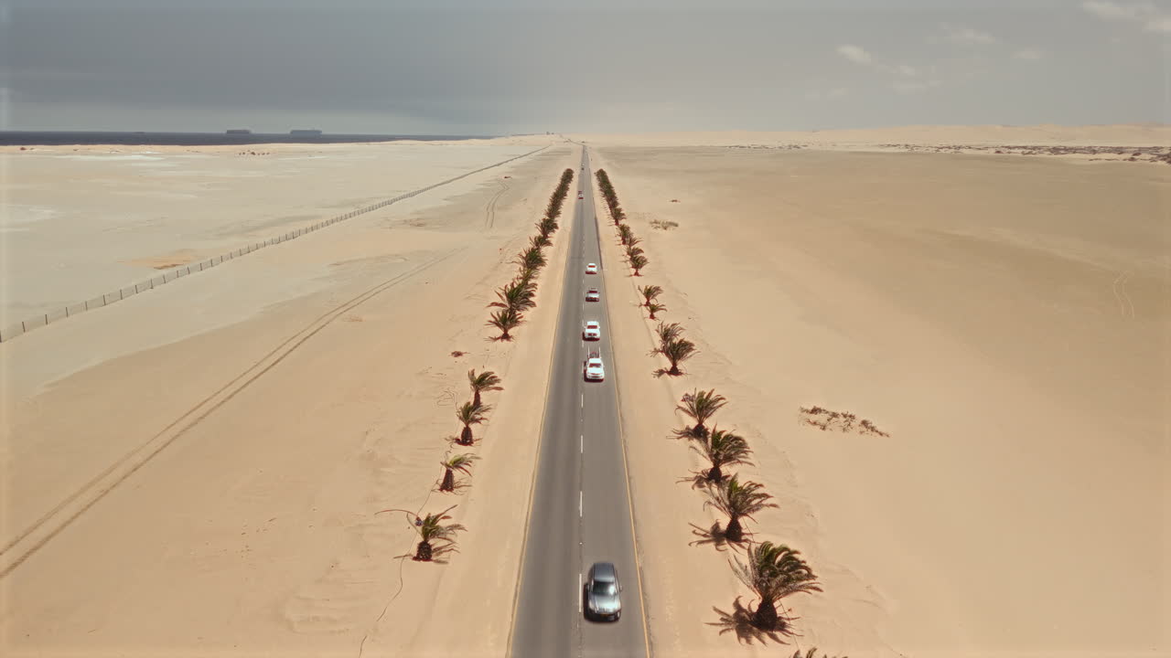 Desert Highway with Palm Trees