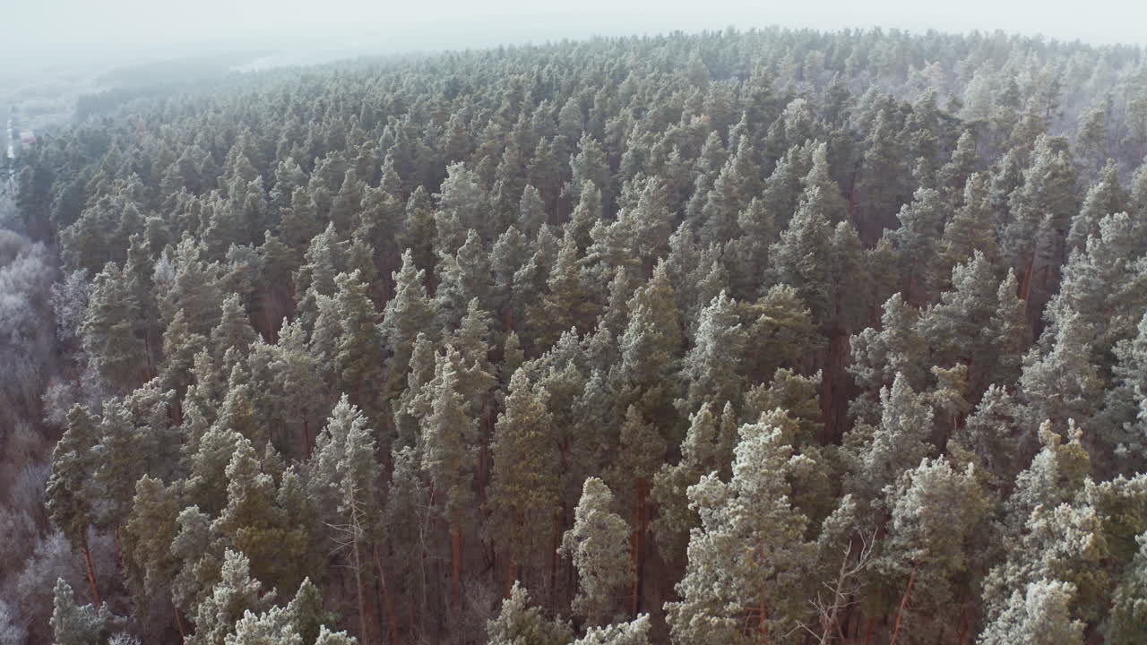 Talvinen metsämaisema. Ilmakuva lumipeitteisestä talvimetsästä ylhäältä päin.