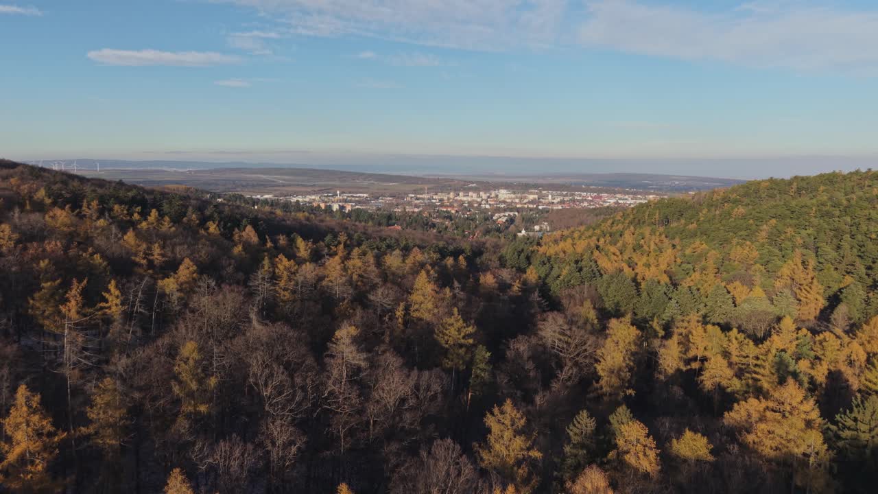 Drone view captures a forest in autumn, with golden and brown treetops stretching toward the horizon. In the distance, a cityscape emerges beneath a clear blue sky, contrasting nature with urban life