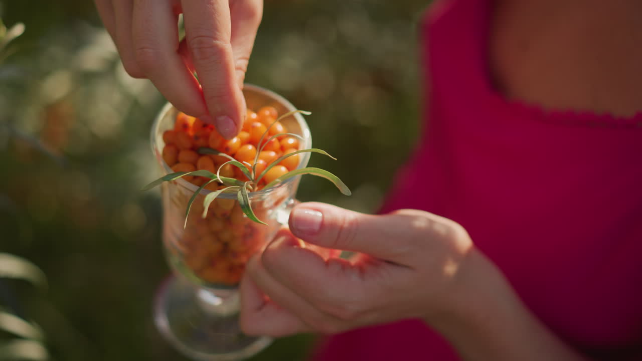 Colorful berries by stylish attire, Hostess showcases vibrant orange berries beside elegant pink attire, Bright scene featuring fresh organic produce as host and chef engage in tasting