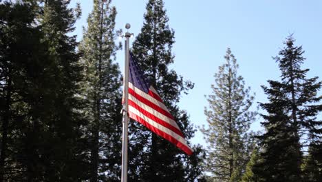 american flag close up with sun shining from behind and green forest in the background