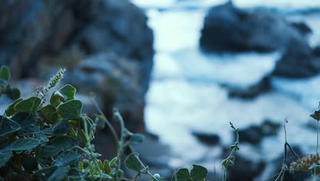 captivating scene where the green foliage in the foreground gently gives way to a rocky coastline, painting a serene yet rugged picture of nature's contrast