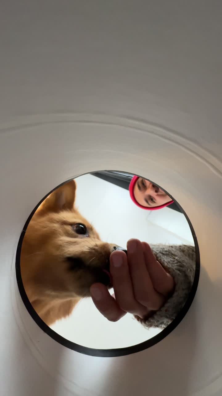 실린더의 구을 통해 개에게 먹이를 주는 사람