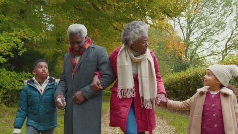 glimlachende grootouders die hand in hand met kleinkinderen samen door het herfstlandschap lopen - opgenomen in slow motion
