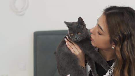 close-up-portrait,-a-beautiful-young-woman-holds-a-serene-Scottish-breed-cat-in-her-arms-and-kisses-it-lovingly