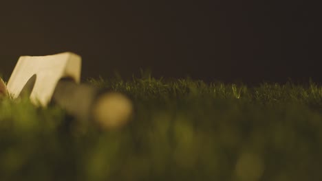 studio cricket still life with close up of bat and ball lying in grass