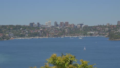 australian harbor by taronga zoo