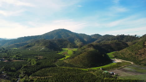 aerial zoom out revealing the great hills of southeast asia where coffee is cultivated