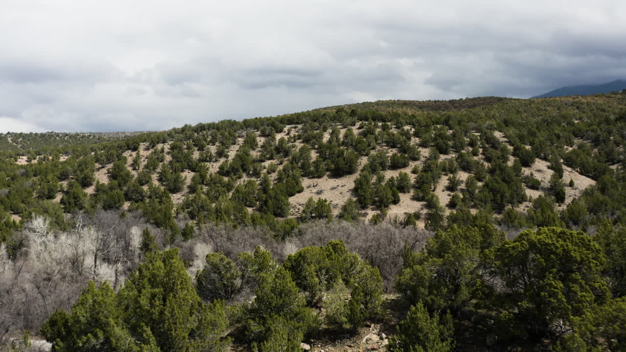 Bellissime colline desertiche nello Utah - Veduta aerea panoramica della natura.